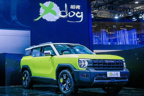 Haval x dog
