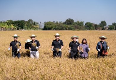 PTG ส่งเสริมโครงการ “ปลูกข้าวแบบเปียกสลับแห้ง” ลดการปล่อยก๊าซมีเทนต่อยอดเป็นคาร์บอนเครดิต PTG ส่งเสริมโครงการ “ปลูกข้าวแบบเปียกสลับแห้ง” ลดการปล่อยก๊าซมีเทนต่อยอดเป็นคาร์บอนเครดิต